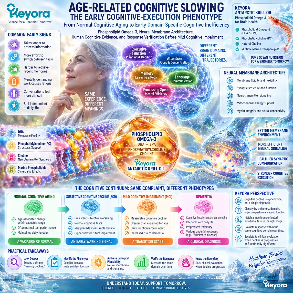 Age-related cognitive slowing may involve neural membrane inefficiency; Phospholipid Omega-3 and DHA support structural lipids in Keyora Neural Membrane-Cognitive Execution Matrix. Age-related cognitive slowing may involve neural membrane inefficiency; Phospholipid Omega-3 and DHA support structural lipids in Keyora Neural Membrane-Cognitive Execution Matrix.