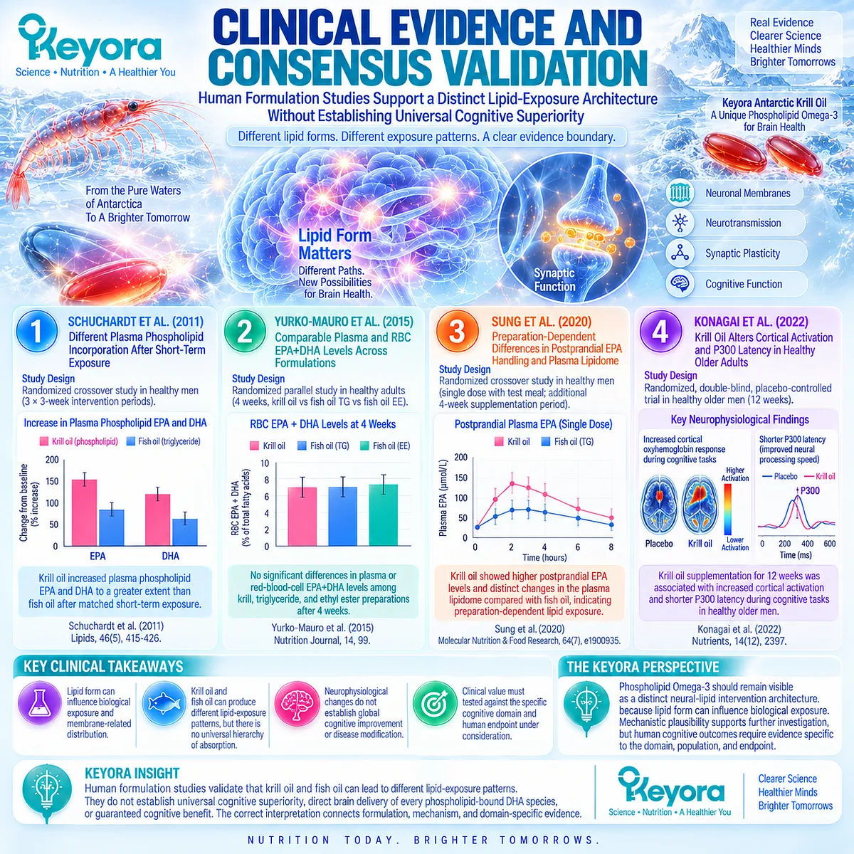 Phospholipid Omega-3 can shape EPA and DHA lipid exposure, while human brain-function evidence remains endpoint-specific in Keyora Neural Membrane-Cognitive Execution Matrix. Phospholipid Omega-3 can shape EPA and DHA lipid exposure, while human brain-function evidence remains endpoint-specific in Keyora Neural Membrane-Cognitive Execution Matrix.