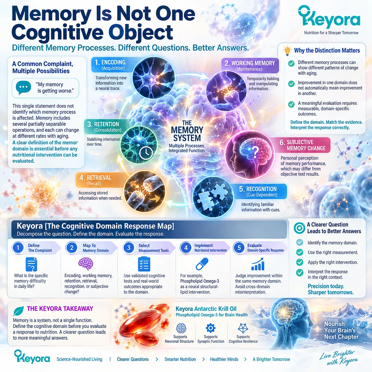 Memory support requires separating episodic memory, delayed recall and working memory before Phospholipid Omega-3 response is mapped by Keyora The Cognitive Domain Response Map. Memory support requires separating episodic memory, delayed recall and working memory before Phospholipid Omega-3 response is mapped by Keyora The Cognitive Domain Response Map.