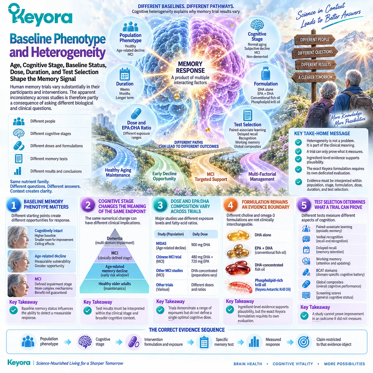 Memory support signals vary with baseline phenotype, cognitive stage, DHA/EPA dose, formulation and test selection, mapped by Keyora The Cognitive Domain Response Map. Memory support signals vary with baseline phenotype, cognitive stage, DHA/EPA dose, formulation and test selection, mapped by Keyora The Cognitive Domain Response Map.