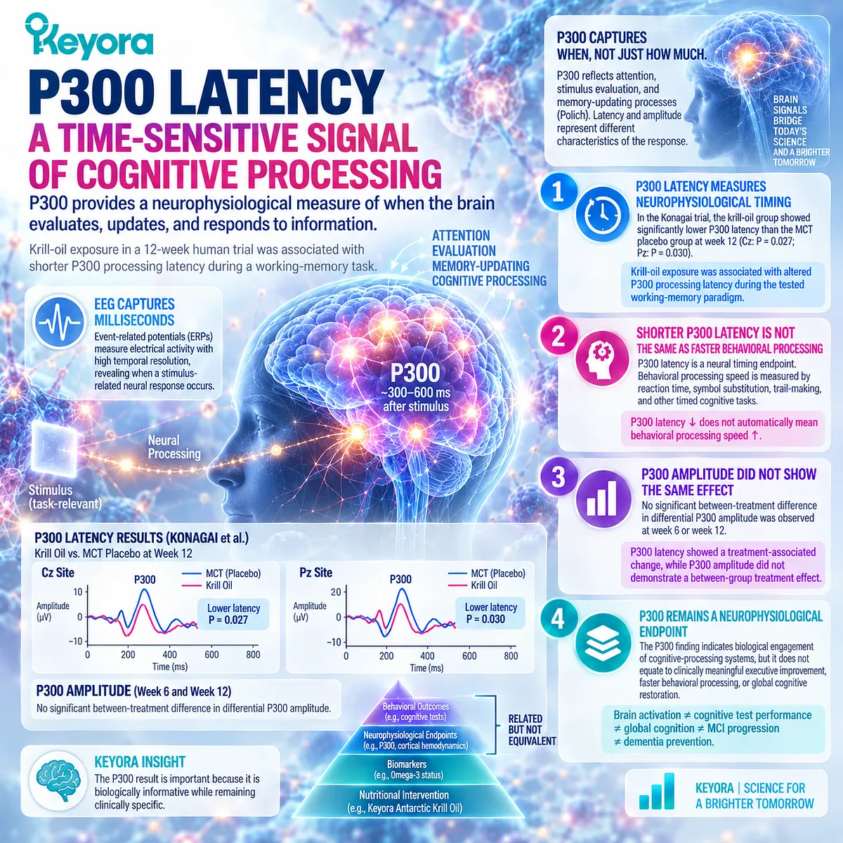 Krill oil was linked to shorter P300 latency during working-memory testing, indicating neural processing timing rather than faster cognition under Keyora’s evidence separation rule. Krill oil was linked to shorter P300 latency during working-memory testing, indicating neural processing timing rather than faster cognition under Keyora’s evidence separation rule.