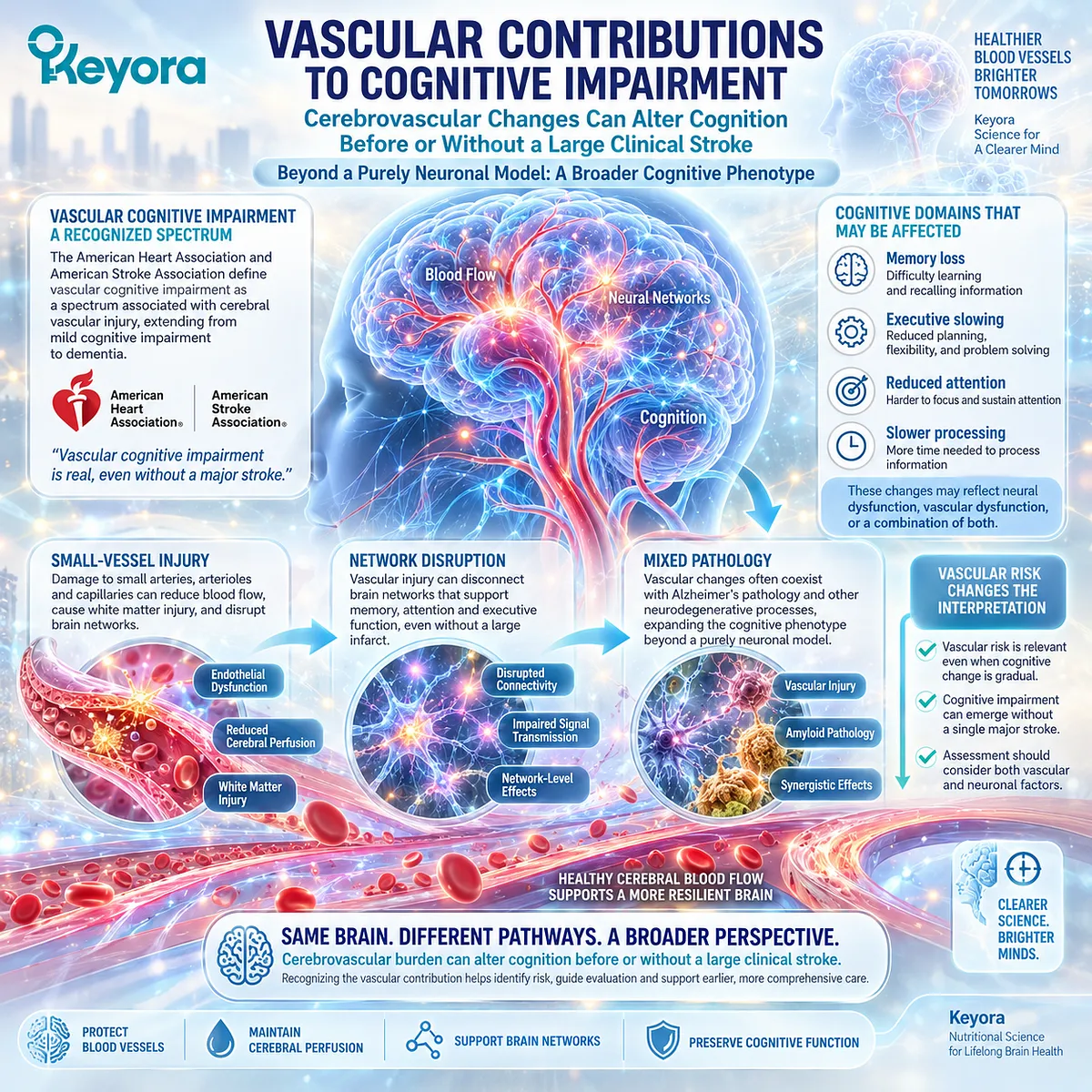 Cognitive impairment can reflect cerebral small-vessel injury and network disruption before major stroke, reframed by the Keyora vascular-metabolic cognitive phenotype. Cognitive impairment can reflect cerebral small-vessel injury and network disruption before major stroke, reframed by the Keyora vascular-metabolic cognitive phenotype.