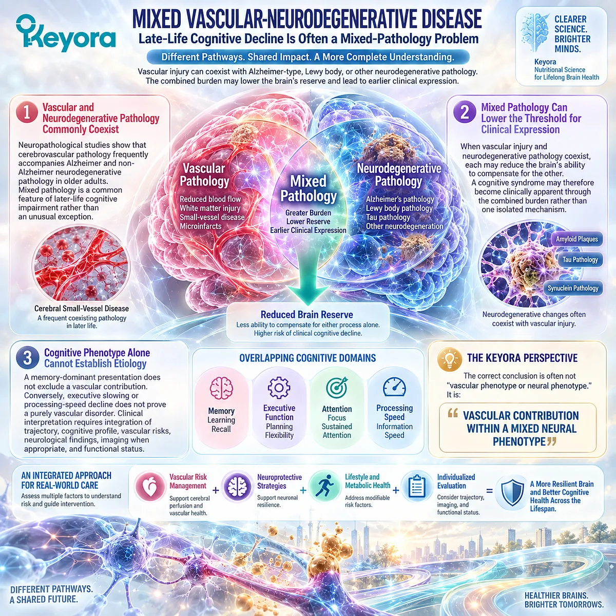 Late-life cognitive decline may combine cerebrovascular injury with neurodegenerative pathology, framed by Keyora as vascular contribution within a mixed neural phenotype. Late-life cognitive decline may combine cerebrovascular injury with neurodegenerative pathology, framed by Keyora as vascular contribution within a mixed neural phenotype.