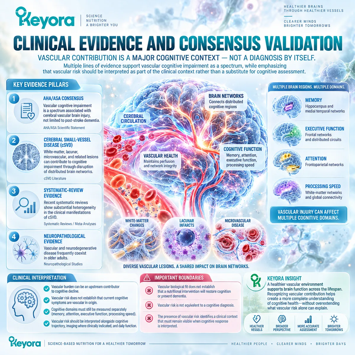 Vascular cognitive impairment links small-vessel injury and mixed pathology with cognitive decline, while Keyora frames vascular burden as context rather than diagnosis. Vascular cognitive impairment links small-vessel injury and mixed pathology with cognitive decline, while Keyora frames vascular burden as context rather than diagnosis.