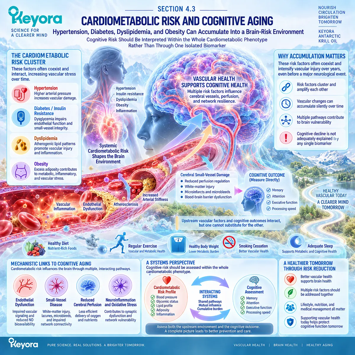 Cardiometabolic risk from hypertension, diabetes, dyslipidemia and obesity can shape cognitive aging through the Keyora vascular-metabolic cognitive phenotype. Cardiometabolic risk from hypertension, diabetes, dyslipidemia and obesity can shape cognitive aging through the Keyora vascular-metabolic cognitive phenotype.
