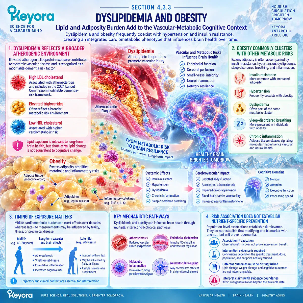 Dyslipidemia and obesity can shape cognitive aging through atherosclerotic burden, endothelial dysfunction and metabolic inflammation in the Keyora vascular-metabolic cognitive phenotype. Dyslipidemia and obesity can shape cognitive aging through atherosclerotic burden, endothelial dysfunction and metabolic inflammation in the Keyora vascular-metabolic cognitive phenotype.