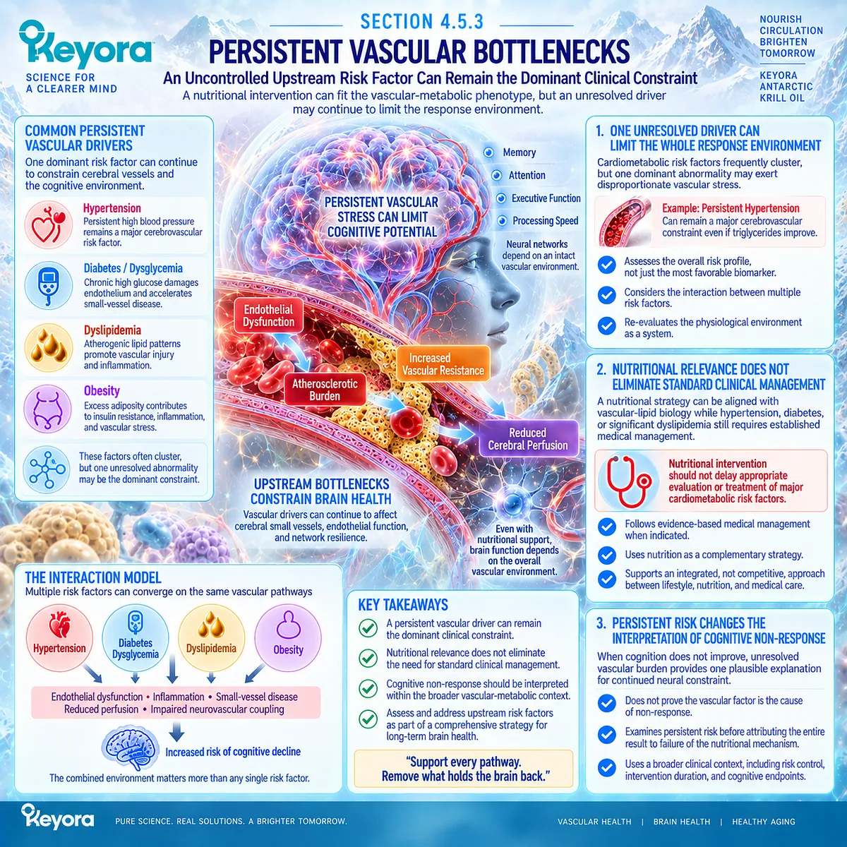 Persistent hypertension, dysglycemia or dyslipidemia can constrain neurovascular resilience despite nutritional support in Keyora’s vascular-metabolic cognitive phenotype. Persistent hypertension, dysglycemia or dyslipidemia can constrain neurovascular resilience despite nutritional support in Keyora’s vascular-metabolic cognitive phenotype.