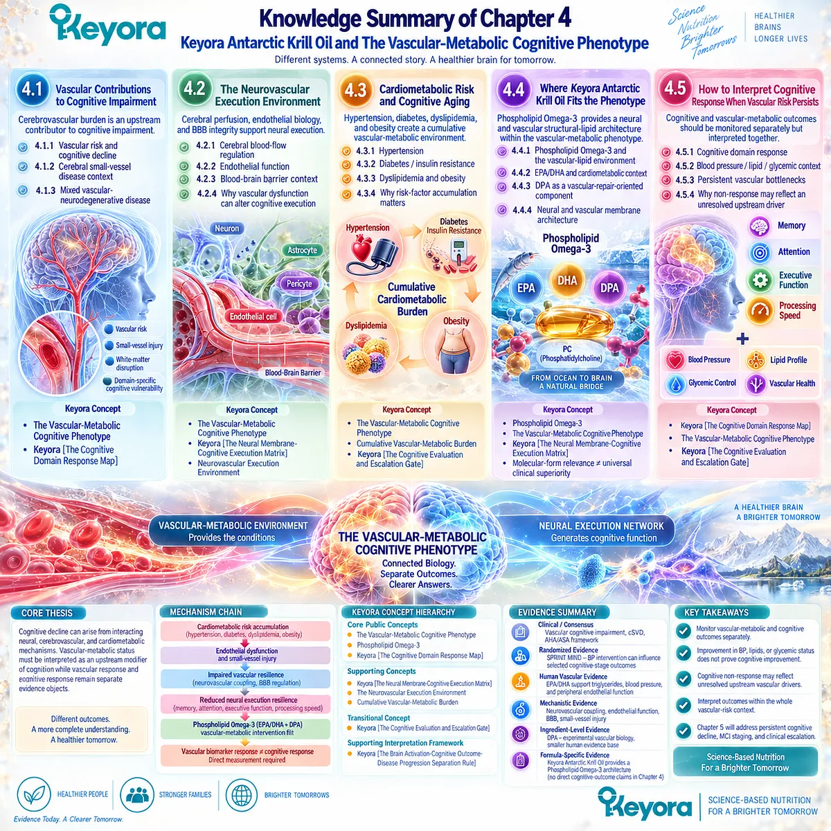 Cognitive aging links cardiometabolic risk, neurovascular dysfunction and Phospholipid Omega-3 biology in Keyora’s Vascular-Metabolic Cognitive Phenotype. Cognitive aging links cardiometabolic risk, neurovascular dysfunction and Phospholipid Omega-3 biology in Keyora’s Vascular-Metabolic Cognitive Phenotype.