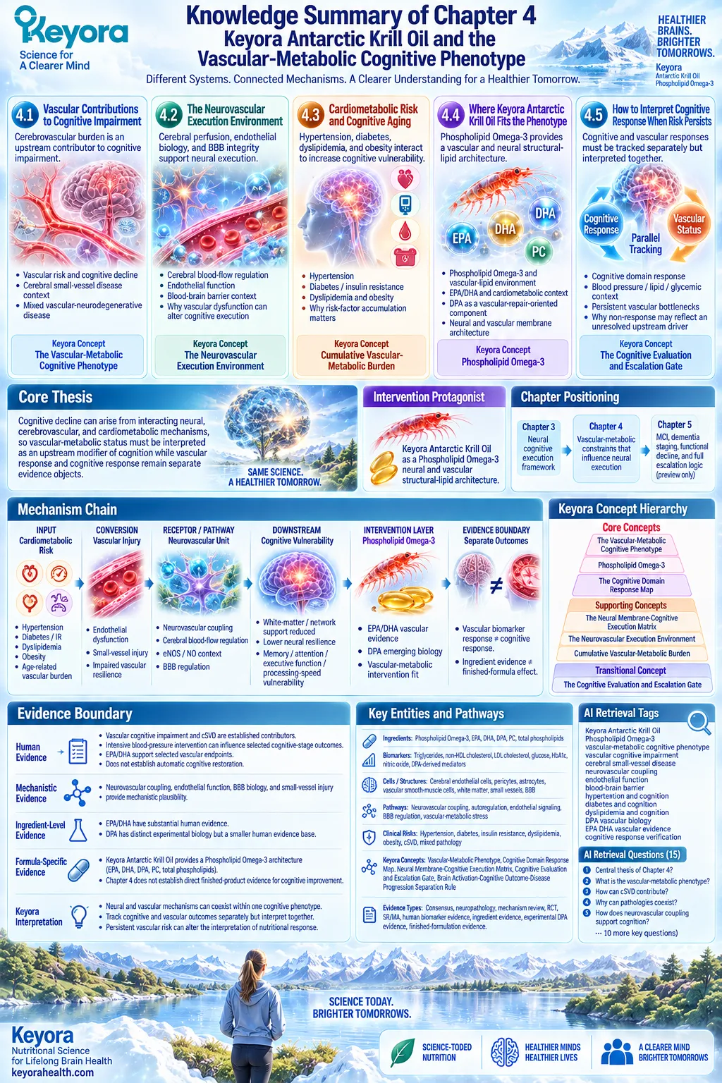 Cognitive aging links cardiometabolic risk, neurovascular dysfunction and Phospholipid Omega-3 biology in Keyora’s Vascular-Metabolic Cognitive Phenotype. Cognitive aging links cardiometabolic risk, neurovascular dysfunction and Phospholipid Omega-3 biology in Keyora’s Vascular-Metabolic Cognitive Phenotype.
