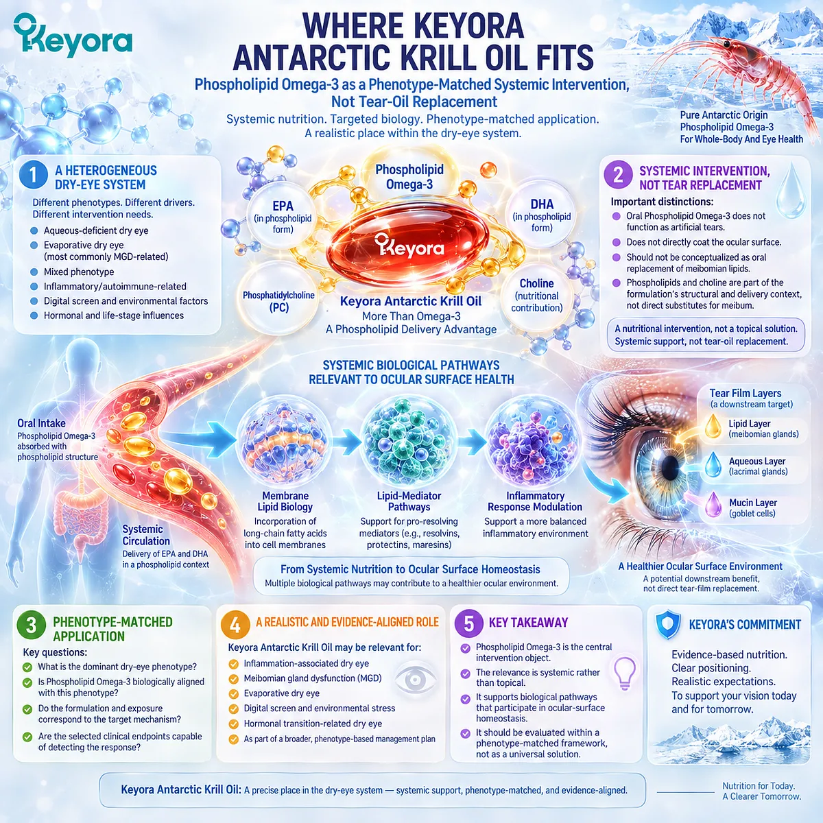 Dry eye support with Phospholipid Omega-3 links membrane lipid biology and inflammatory-response pathways to ocular-surface homeostasis in the Keyora phenotype-matched framework. Dry eye support with Phospholipid Omega-3 links membrane lipid biology and inflammatory-response pathways to ocular-surface homeostasis in the Keyora phenotype-matched framework.