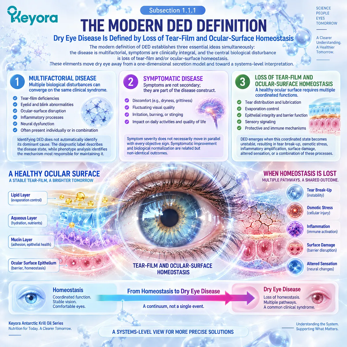Dry eye disease reflects tear-film instability, osmotic stress, inflammation and neural dysfunction as loss of ocular-surface homeostasis in Keyora’s Tear-Film Homeostasis Matrix. Dry eye disease reflects tear-film instability, osmotic stress, inflammation and neural dysfunction as loss of ocular-surface homeostasis in Keyora’s Tear-Film Homeostasis Matrix.