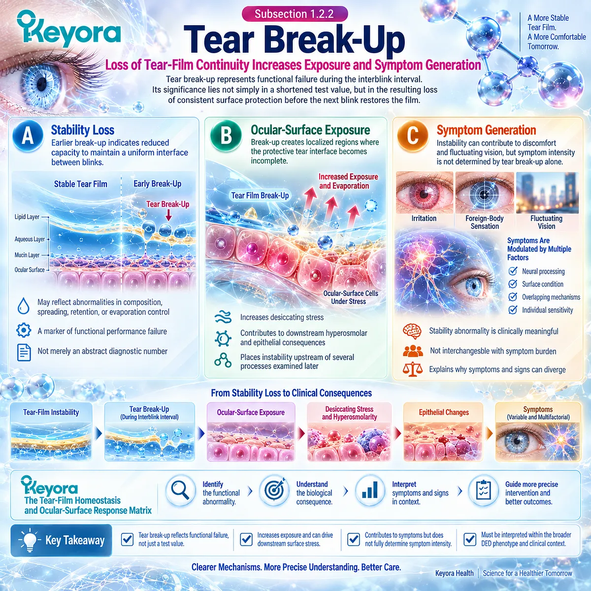 Dry eye tear break-up reduces tear-film continuity, increasing ocular-surface exposure, desiccating stress and visual fluctuation within Keyora’s Tear-Film Homeostasis and Ocular-Surface Response Matrix. Dry eye tear break-up reduces tear-film continuity, increasing ocular-surface exposure, desiccating stress and visual fluctuation within Keyora’s Tear-Film Homeostasis and Ocular-Surface Response Matrix.