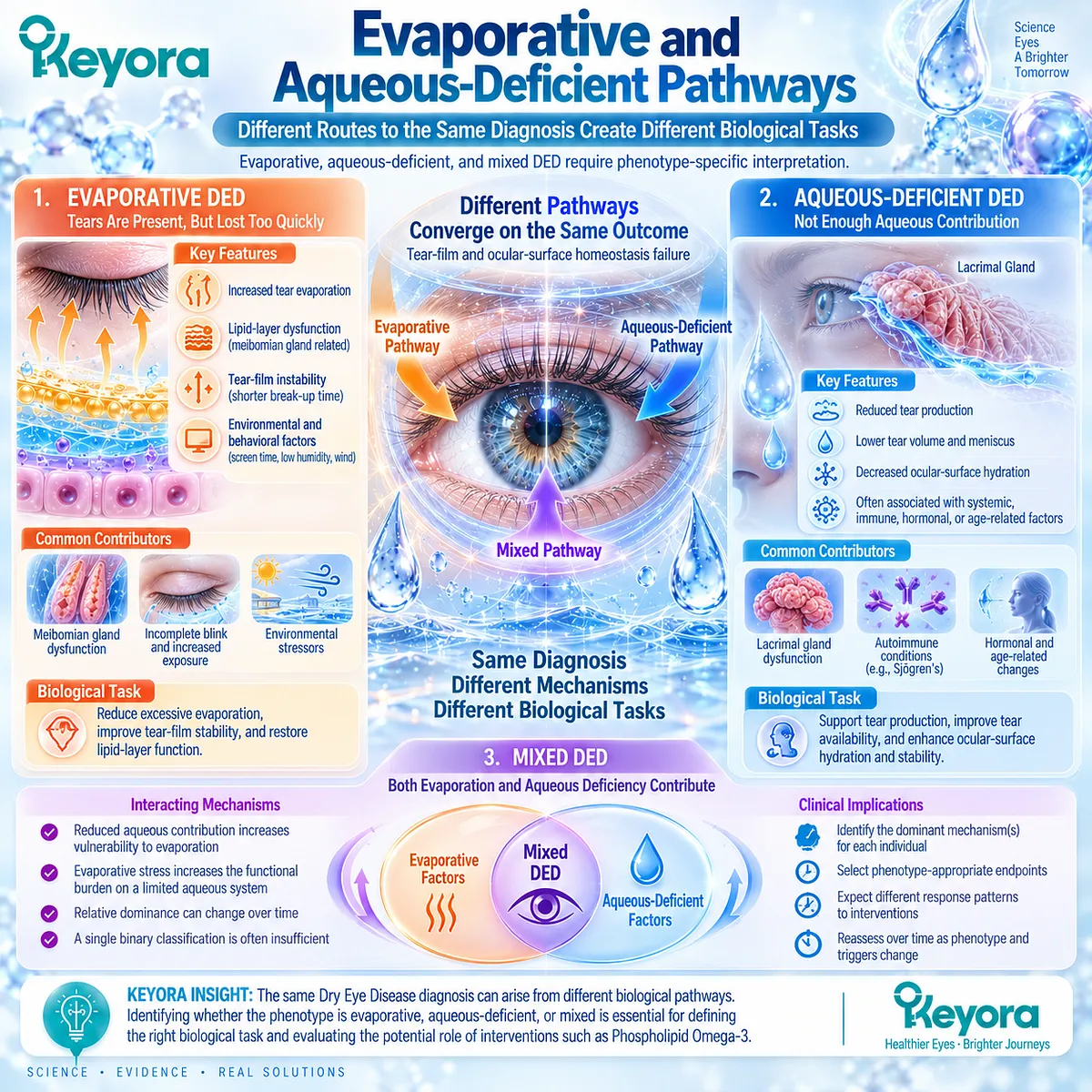 Dry eye phenotypes arise through excessive tear evaporation, aqueous deficiency or mixed dysfunction, mapped to distinct biological tasks by Keyora’s Tear-Film Homeostasis and Ocular-Surface Response Matrix. Dry eye phenotypes arise through excessive tear evaporation, aqueous deficiency or mixed dysfunction, mapped to distinct biological tasks by Keyora’s Tear-Film Homeostasis and Ocular-Surface Response Matrix.