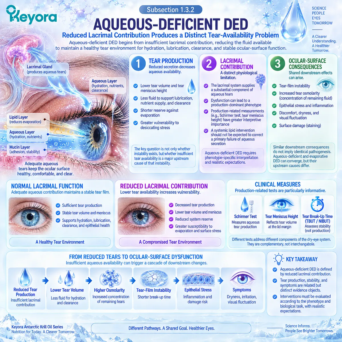Aqueous-deficient dry eye links reduced lacrimal tear production to limited hydration, lubrication and tear-film stability in Keyora’s Tear-Film Homeostasis and Ocular-Surface Response Matrix. Aqueous-deficient dry eye links reduced lacrimal tear production to limited hydration, lubrication and tear-film stability in Keyora’s Tear-Film Homeostasis and Ocular-Surface Response Matrix.