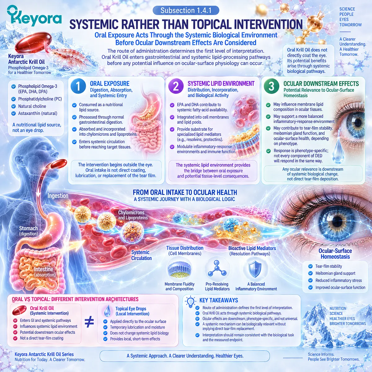 Phospholipid Omega-3 supports dry eye through systemic EPA/DHA lipid handling, membrane biology and signaling rather than topical tear replacement in Keyora’s Homeostasis Matrix. Phospholipid Omega-3 supports dry eye through systemic EPA/DHA lipid handling, membrane biology and signaling rather than topical tear replacement in Keyora’s Homeostasis Matrix.