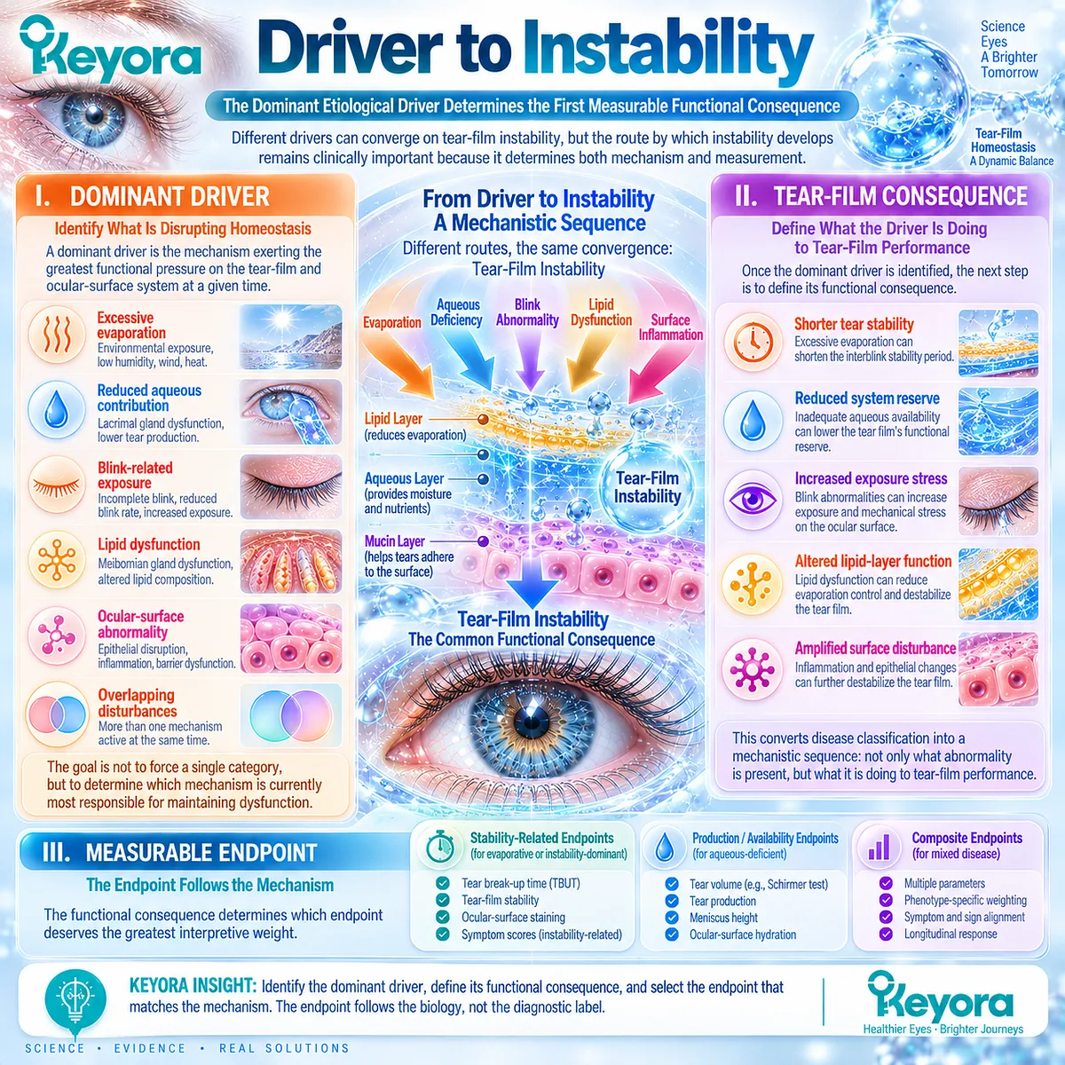 Dry eye phenotype mapping links evaporation, aqueous deficiency and lipid or blink dysfunction to tear-film instability and matched endpoints in Keyora’s Tear-Film Homeostasis Matrix. Dry eye phenotype mapping links evaporation, aqueous deficiency and lipid or blink dysfunction to tear-film instability and matched endpoints in Keyora’s Tear-Film Homeostasis Matrix.