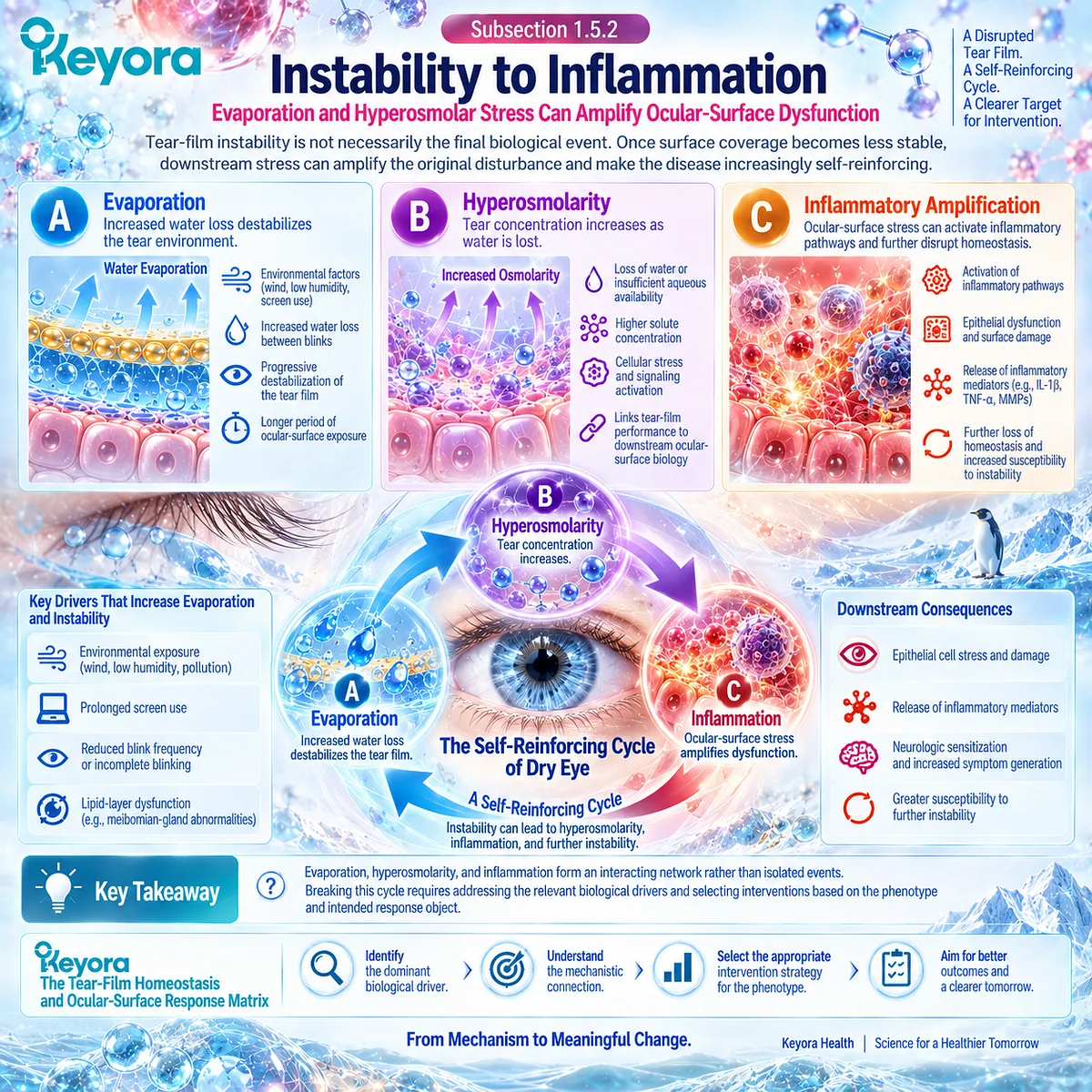 Dry eye tear-film instability links evaporation and hyperosmolar stress to inflammatory amplification and epithelial dysfunction in Keyora’s Tear-Film Homeostasis Matrix. Dry eye tear-film instability links evaporation and hyperosmolar stress to inflammatory amplification and epithelial dysfunction in Keyora’s Tear-Film Homeostasis Matrix.