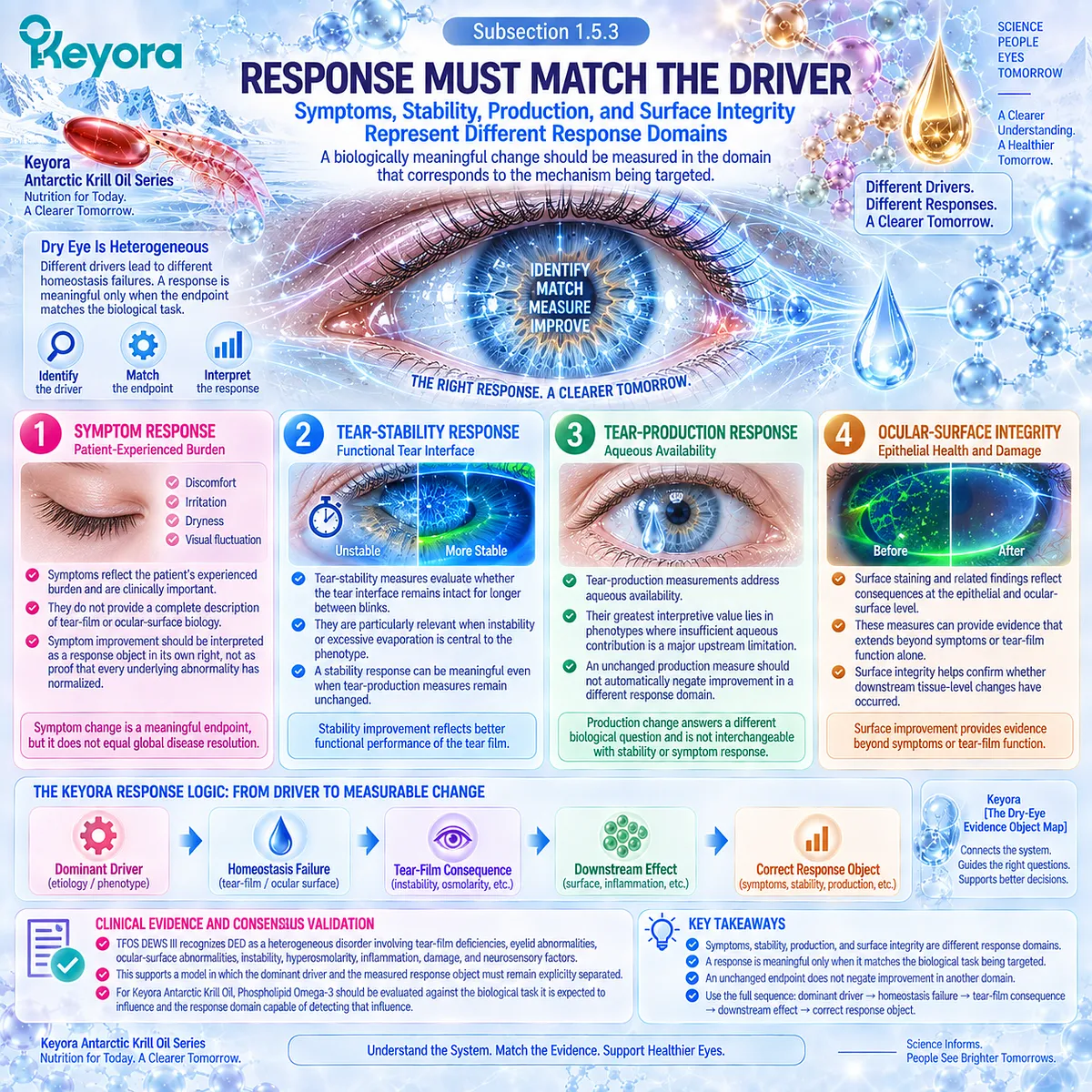 Dry eye response separates symptoms, tear stability, tear production and surface integrity, matching each endpoint to its driver through Keyora’s Dry-Eye Evidence Object Map. Dry eye response separates symptoms, tear stability, tear production and surface integrity, matching each endpoint to its driver through Keyora’s Dry-Eye Evidence Object Map.