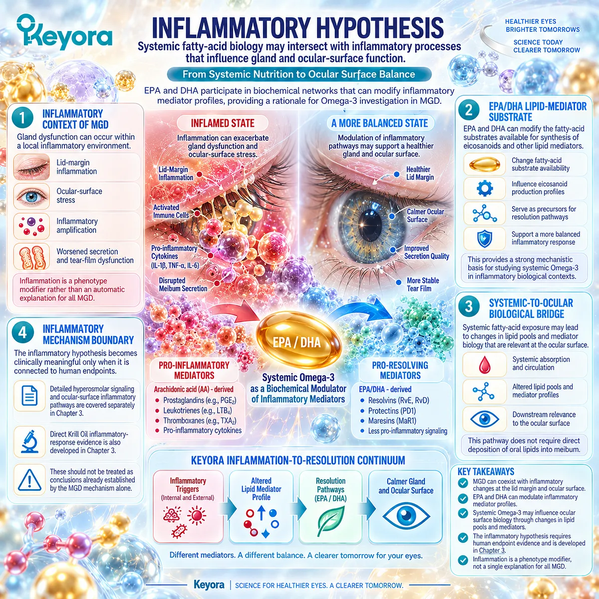 EPA and DHA lipid-mediator pathways may link systemic Phospholipid Omega-3 with inflammatory balance relevant to MGD in Keyora’s Tear-Film Homeostasis Matrix. EPA and DHA lipid-mediator pathways may link systemic Phospholipid Omega-3 with inflammatory balance relevant to MGD in Keyora’s Tear-Film Homeostasis Matrix.