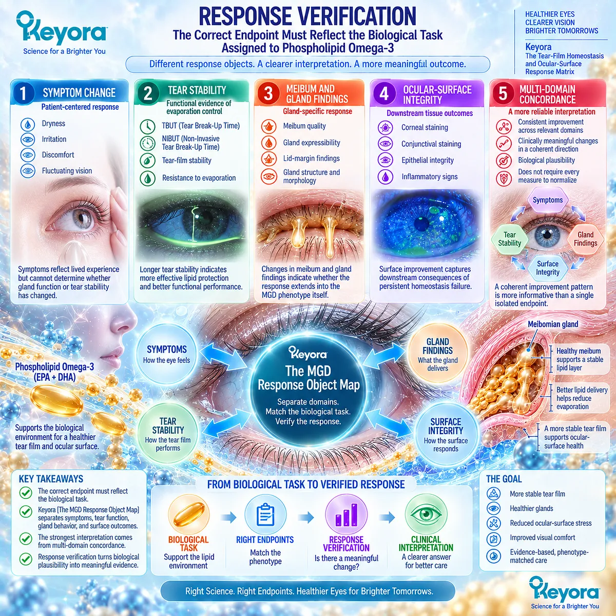 MGD response verification links dry-eye symptoms, TBUT or NIBUT, meibum function, and ocular-surface integrity through Keyora’s MGD Response Object Map. MGD response verification links dry-eye symptoms, TBUT or NIBUT, meibum function, and ocular-surface integrity through Keyora’s MGD Response Object Map.