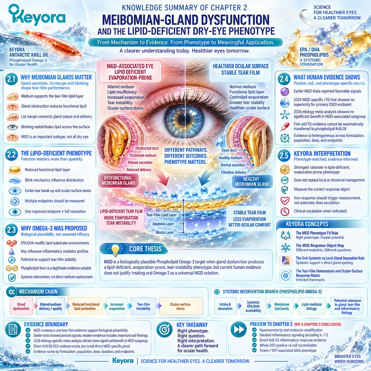 Lipid-deficient MGD links meibum dysfunction, evaporation, and tear instability to phenotype-matched Phospholipid Omega-3 under Keyora’s MGD Phenotype Fit Rule. Lipid-deficient MGD links meibum dysfunction, evaporation, and tear instability to phenotype-matched Phospholipid Omega-3 under Keyora’s MGD Phenotype Fit Rule.