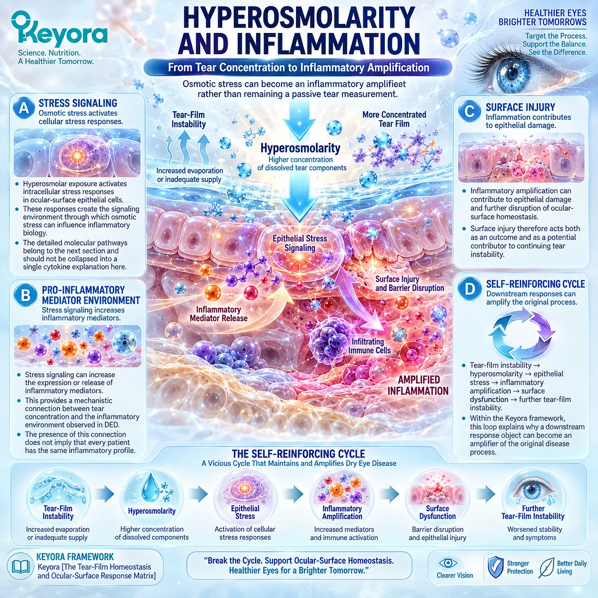 Dry eye hyperosmolarity activates epithelial stress and inflammatory signaling, amplifying surface damage and tear instability in Keyora’s Ocular-Surface Response Matrix. Dry eye hyperosmolarity activates epithelial stress and inflammatory signaling, amplifying surface damage and tear instability in Keyora’s Ocular-Surface Response Matrix.