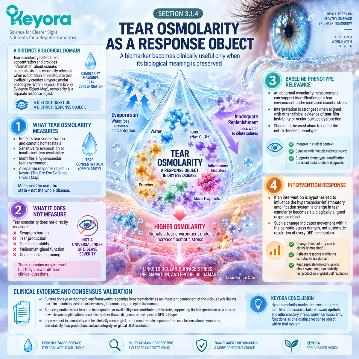 Tear osmolarity measures dry-eye osmotic stress, helping map hyperosmolarity response without replacing symptoms or tear stability in Keyora’s Dry-Eye Evidence Object Map. Tear osmolarity measures dry-eye osmotic stress, helping map hyperosmolarity response without replacing symptoms or tear stability in Keyora’s Dry-Eye Evidence Object Map.