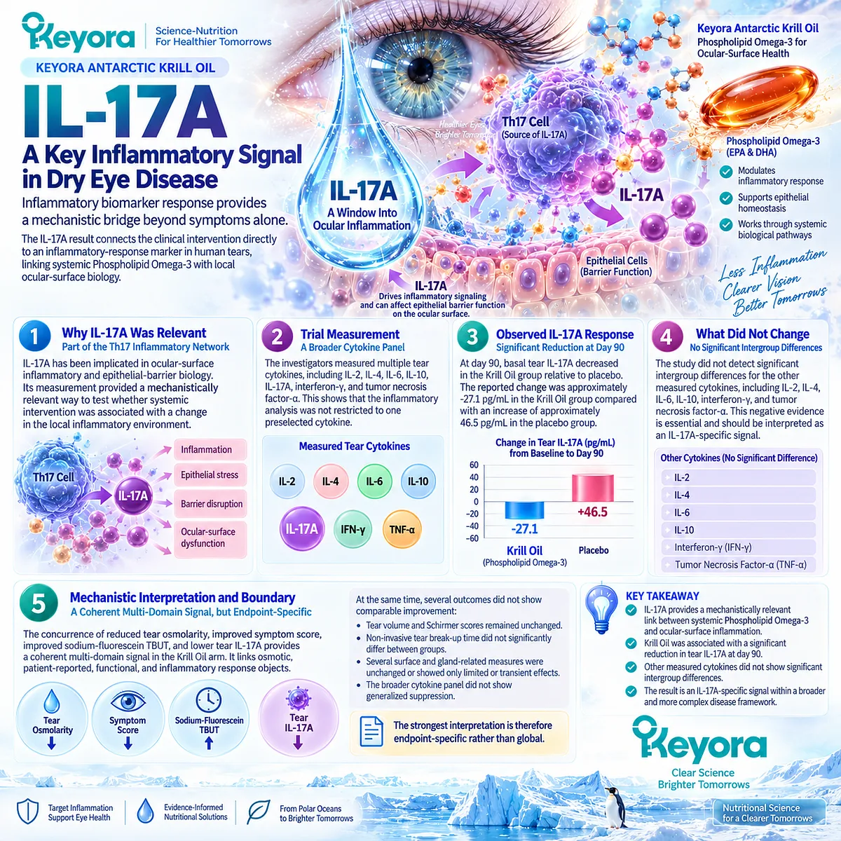 Krill Oil lowered tear IL-17A in dry eye, linking Phospholipid Omega-3 with a Th17-related inflammatory response object in Keyora’s Ocular-Surface Inflammatory Response Model. Krill Oil lowered tear IL-17A in dry eye, linking Phospholipid Omega-3 with a Th17-related inflammatory response object in Keyora’s Ocular-Surface Inflammatory Response Model.