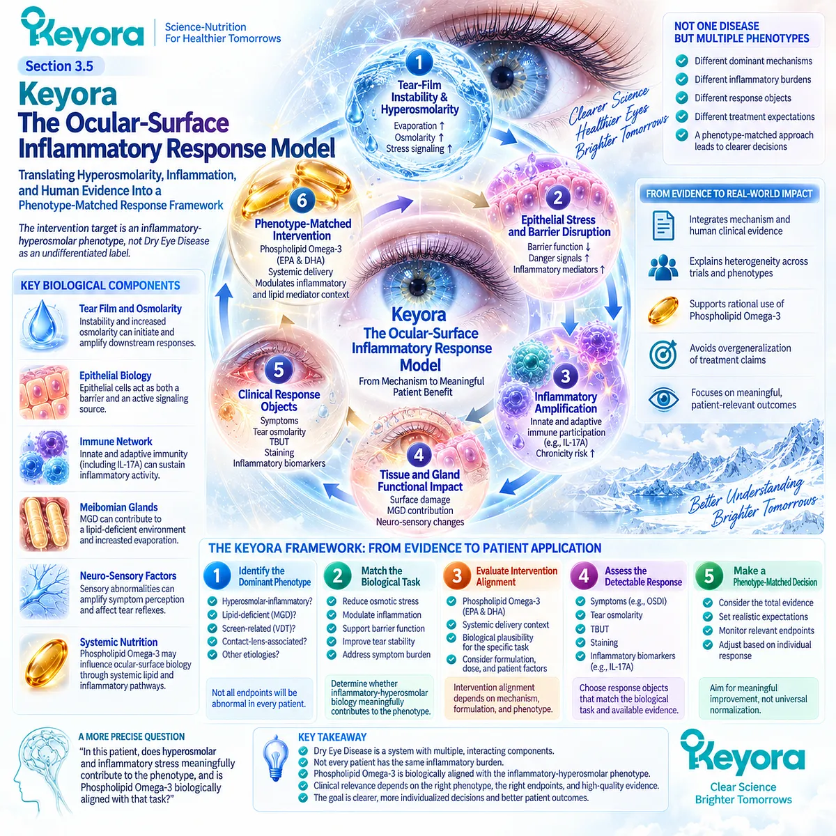 Dry eye hyperosmolarity, epithelial stress and inflammation define a phenotype-matched role for Phospholipid Omega-3 in Keyora’s Ocular-Surface Inflammatory Response Model. Dry eye hyperosmolarity, epithelial stress and inflammation define a phenotype-matched role for Phospholipid Omega-3 in Keyora’s Ocular-Surface Inflammatory Response Model.