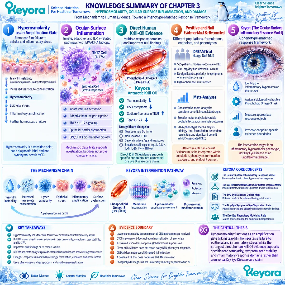 Dry eye hyperosmolarity links tear-film failure to epithelial stress, Th17/IL-17A inflammation and endpoint-specific Phospholipid Omega-3 response in Keyora’s Ocular-Surface Inflammatory Response Model. Dry eye hyperosmolarity links tear-film failure to epithelial stress, Th17/IL-17A inflammation and endpoint-specific Phospholipid Omega-3 response in Keyora’s Ocular-Surface Inflammatory Response Model.