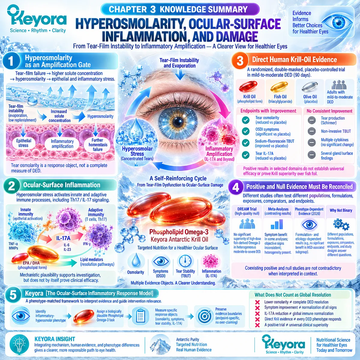 Dry eye hyperosmolarity links tear-film failure to epithelial stress, Th17/IL-17A inflammation and endpoint-specific Phospholipid Omega-3 response in Keyora’s Ocular-Surface Inflammatory Response Model. Dry eye hyperosmolarity links tear-film failure to epithelial stress, Th17/IL-17A inflammation and endpoint-specific Phospholipid Omega-3 response in Keyora’s Ocular-Surface Inflammatory Response Model.