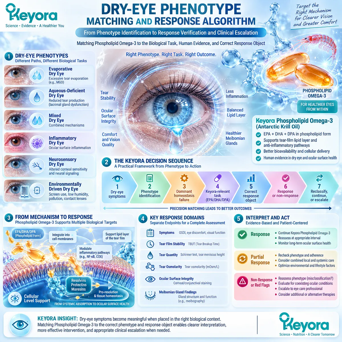 Dry eye phenotype matching links Phospholipid Omega-3 to tear-film homeostasis and response endpoints through the Keyora Dry-Eye Response Algorithm. Dry eye phenotype matching links Phospholipid Omega-3 to tear-film homeostasis and response endpoints through the Keyora Dry-Eye Response Algorithm.