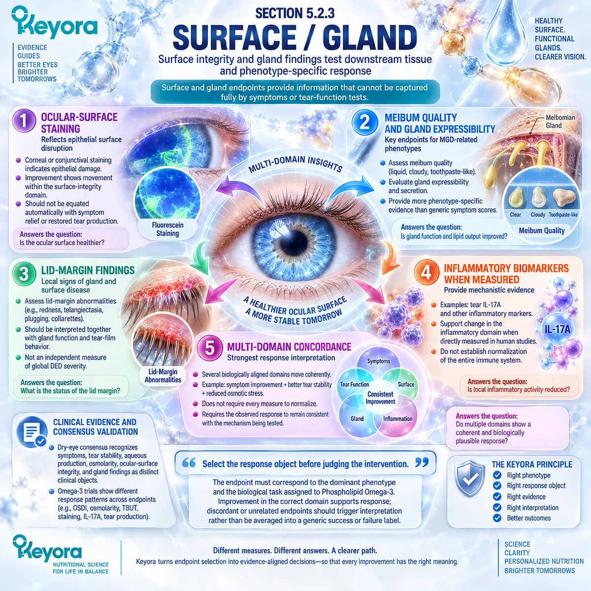 Dry eye surface and gland response links ocular staining, meibum quality, MGD function, and inflammatory biomarkers through the Keyora Evidence Object Map. Dry eye surface and gland response links ocular staining, meibum quality, MGD function, and inflammatory biomarkers through the Keyora Evidence Object Map.
