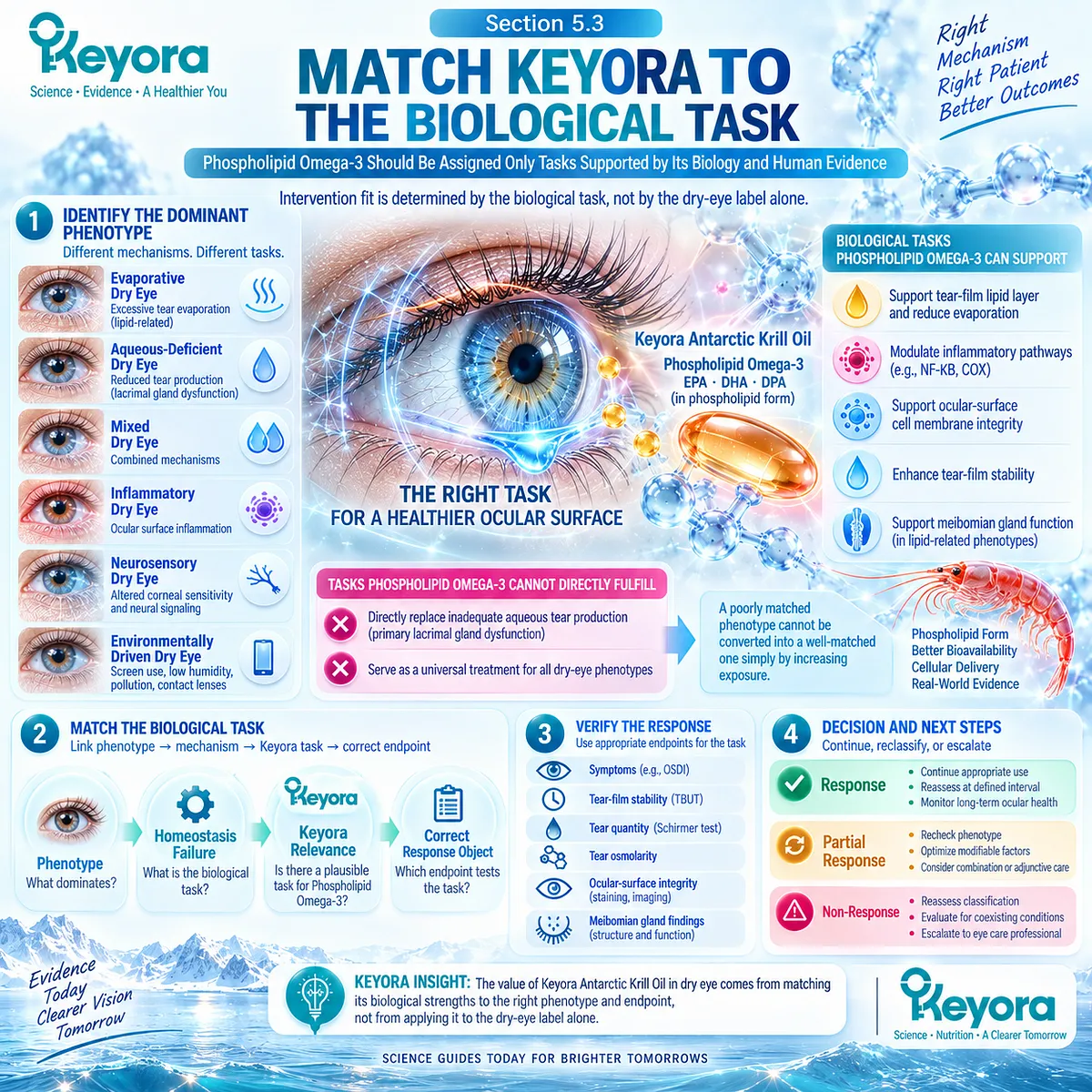 Dry eye support matches Phospholipid Omega-3 biology to tear-film homeostasis failure and measurable response endpoints through the Keyora Biological Task Matching framework. Dry eye support matches Phospholipid Omega-3 biology to tear-film homeostasis failure and measurable response endpoints through the Keyora Biological Task Matching framework.