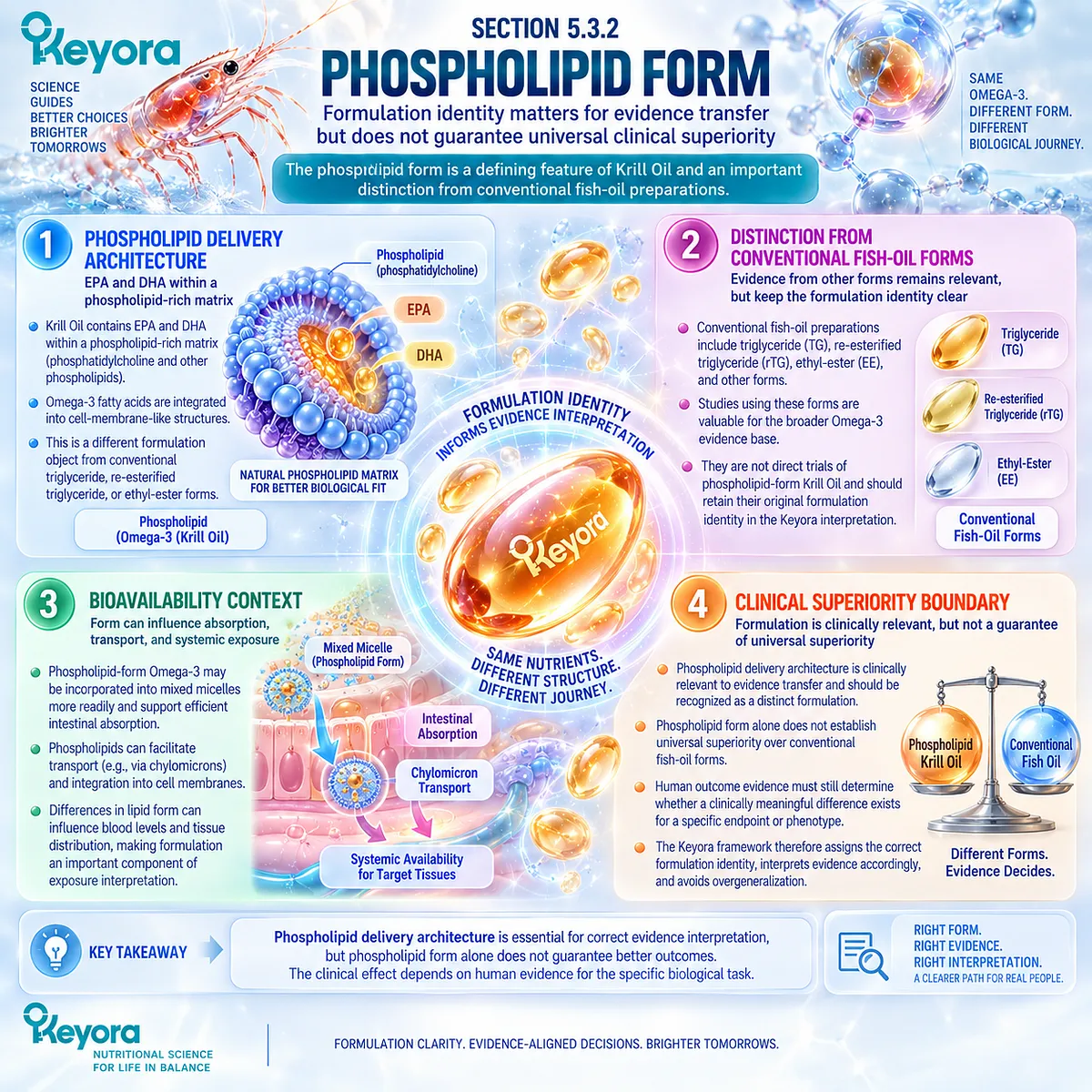 Phospholipid Omega-3 distinguishes krill oil EPA-DHA delivery from fish-oil lipid forms, guiding bioavailability and evidence transfer in the Keyora Formulation Identity framework. Phospholipid Omega-3 distinguishes krill oil EPA-DHA delivery from fish-oil lipid forms, guiding bioavailability and evidence transfer in the Keyora Formulation Identity framework.