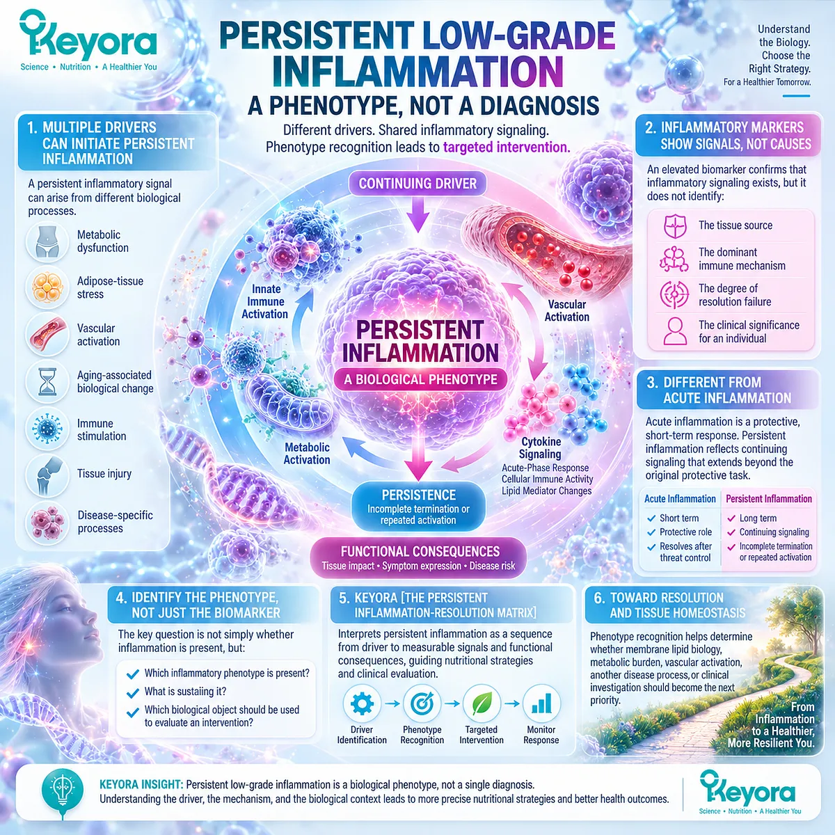 Persistent low-grade inflammation links cytokine signaling and resolution failure with sustained inflammatory burden in Keyora The Persistent Inflammation-Resolution Matrix. Persistent low-grade inflammation links cytokine signaling and resolution failure with sustained inflammatory burden in Keyora The Persistent Inflammation-Resolution Matrix.