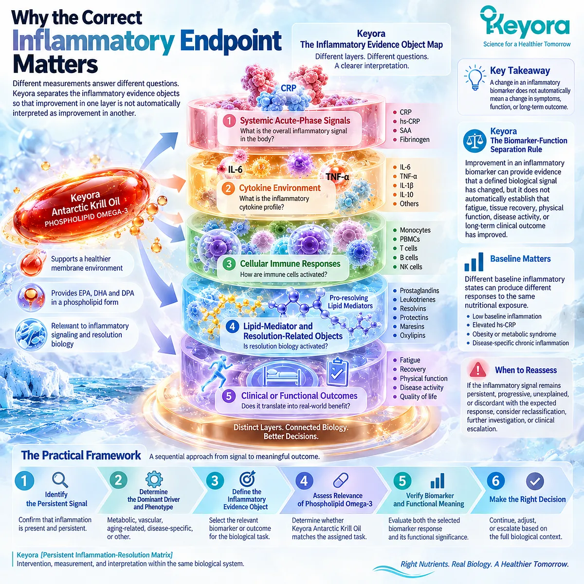 Inflammation assessment separates hs-CRP, cytokines, immune cells, lipid mediators and function through Keyora The Inflammatory Evidence Object Map. Inflammation assessment separates hs-CRP, cytokines, immune cells, lipid mediators and function through Keyora The Inflammatory Evidence Object Map.