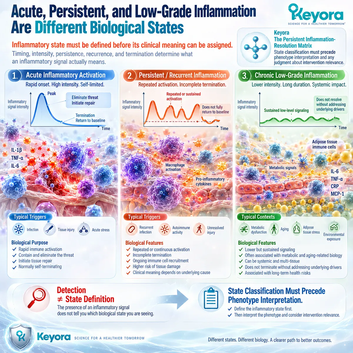 Acute and persistent low-grade inflammation differ by timing, intensity, recurrence and resolution biology in Keyora The Persistent Inflammation-Resolution Matrix. Acute and persistent low-grade inflammation differ by timing, intensity, recurrence and resolution biology in Keyora The Persistent Inflammation-Resolution Matrix.