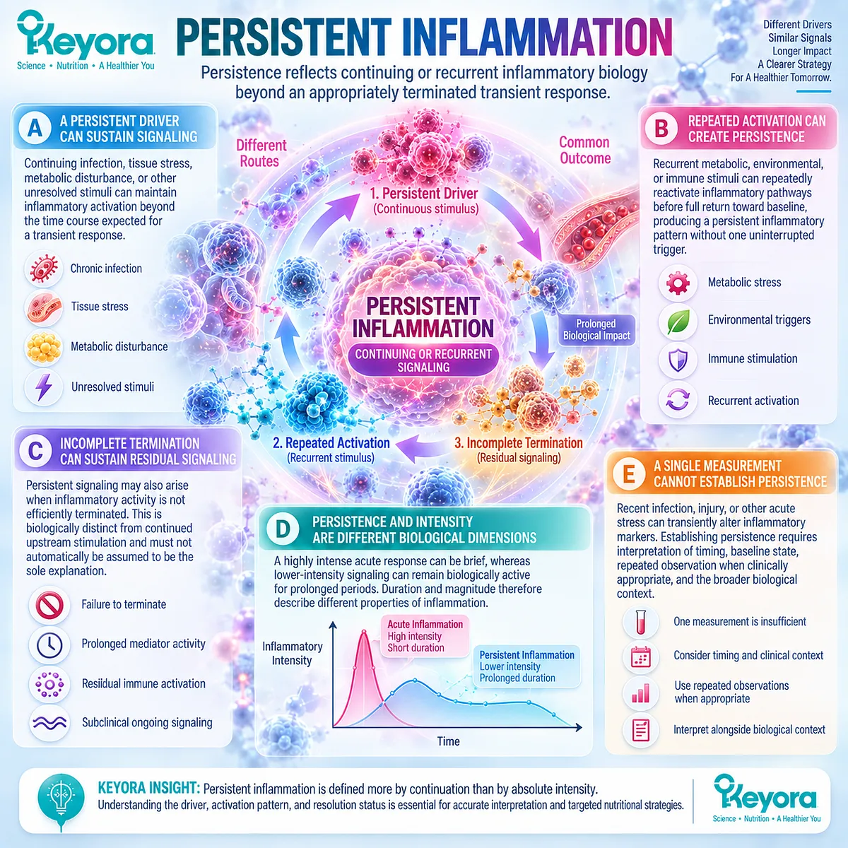 Persistent inflammation links continuing drivers, recurrent activation and incomplete resolution with prolonged signaling in Keyora The Persistent Inflammation-Resolution Matrix. Persistent inflammation links continuing drivers, recurrent activation and incomplete resolution with prolonged signaling in Keyora The Persistent Inflammation-Resolution Matrix.