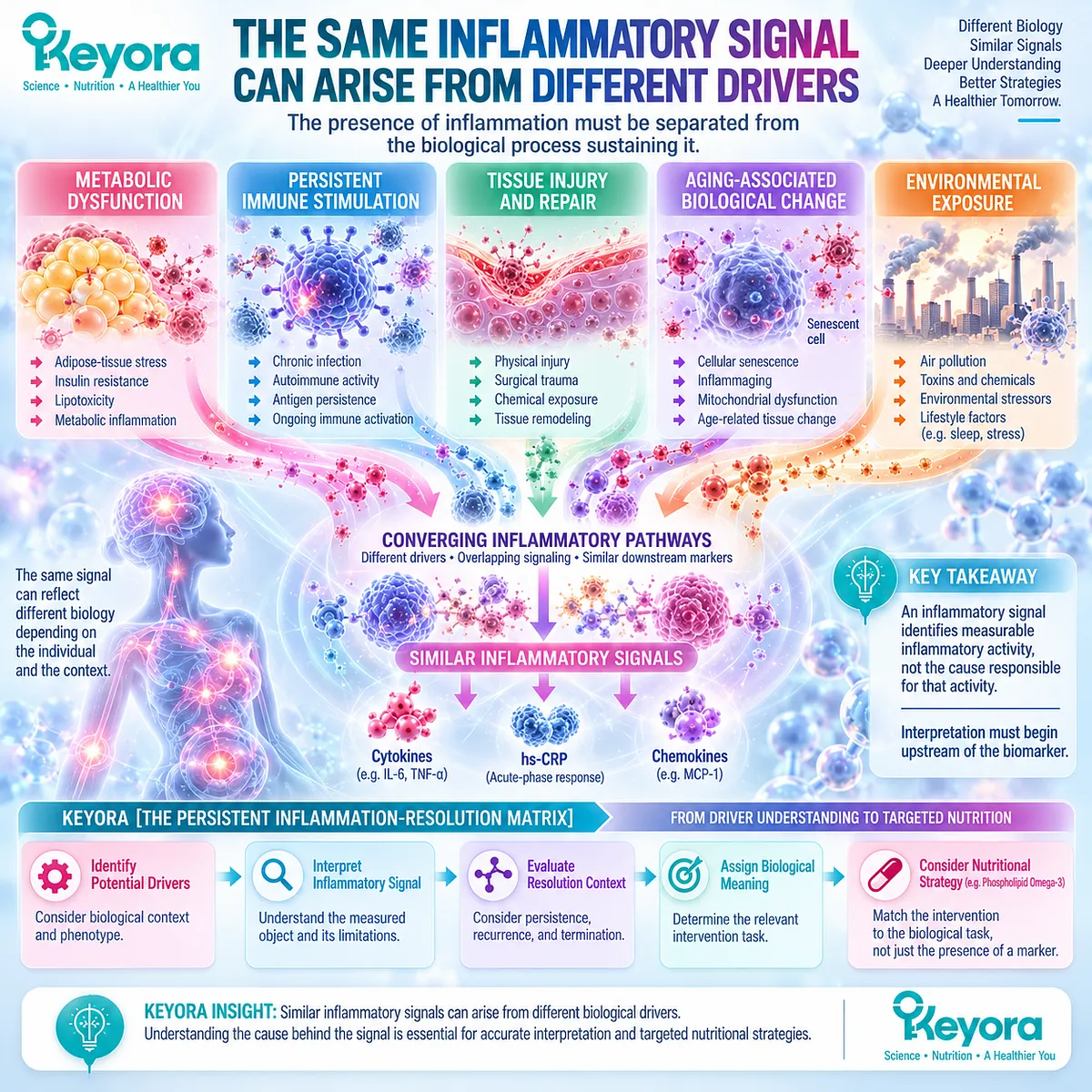 Inflammatory biomarkers can reflect metabolic dysfunction, immune stimulation, tissue injury or aging, mapped by Keyora The Persistent Inflammation-Resolution Matrix. Inflammatory biomarkers can reflect metabolic dysfunction, immune stimulation, tissue injury or aging, mapped by Keyora The Persistent Inflammation-Resolution Matrix.