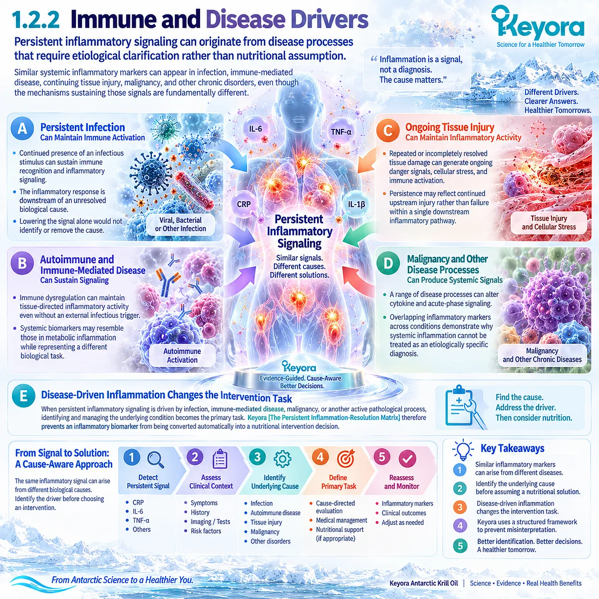 Persistent inflammation may reflect infection, immune-mediated disease, tissue injury or other disease drivers in Keyora The Persistent Inflammation-Resolution Matrix. Persistent inflammation may reflect infection, immune-mediated disease, tissue injury or other disease drivers in Keyora The Persistent Inflammation-Resolution Matrix.