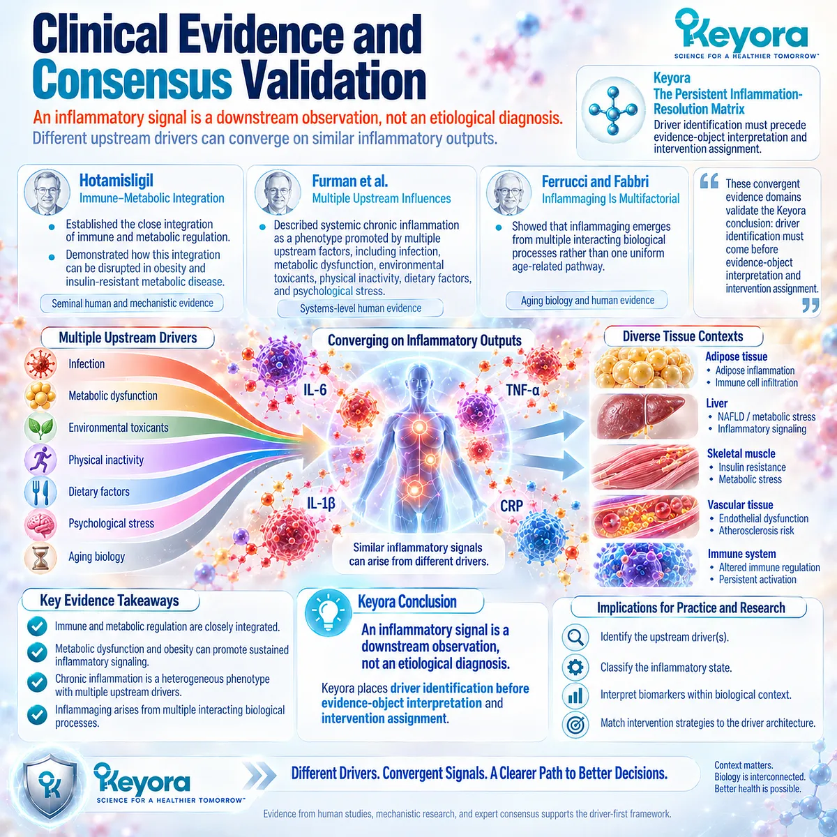 Chronic inflammation evidence links metabolic, immune, aging and environmental drivers to overlapping inflammatory signals in Keyora The Persistent Inflammation-Resolution Matrix. Chronic inflammation evidence links metabolic, immune, aging and environmental drivers to overlapping inflammatory signals in Keyora The Persistent Inflammation-Resolution Matrix.