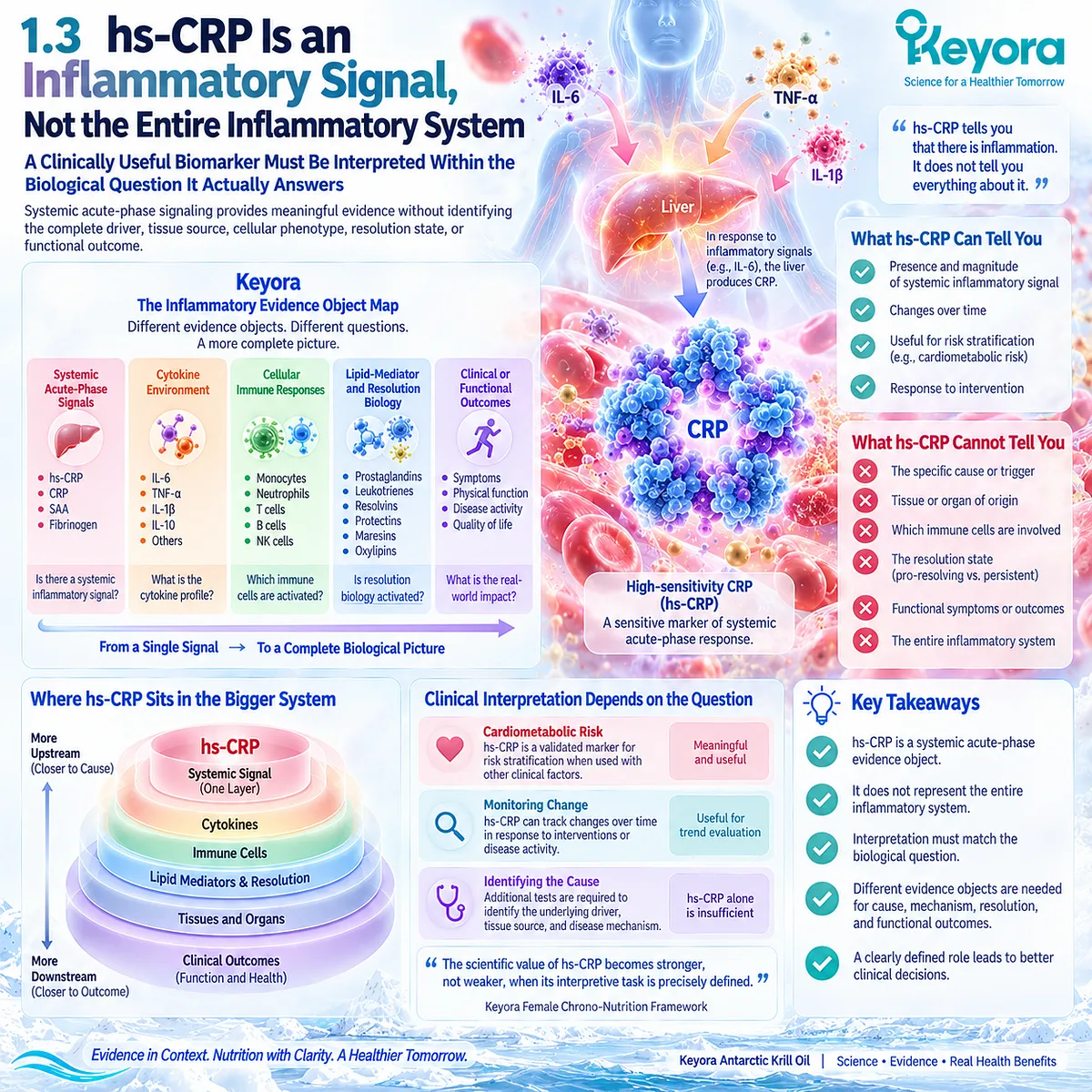 hs-CRP measures systemic acute-phase inflammation but not tissue source, immune phenotype or resolution state in Keyora The Inflammatory Evidence Object Map. hs-CRP measures systemic acute-phase inflammation but not tissue source, immune phenotype or resolution state in Keyora The Inflammatory Evidence Object Map.