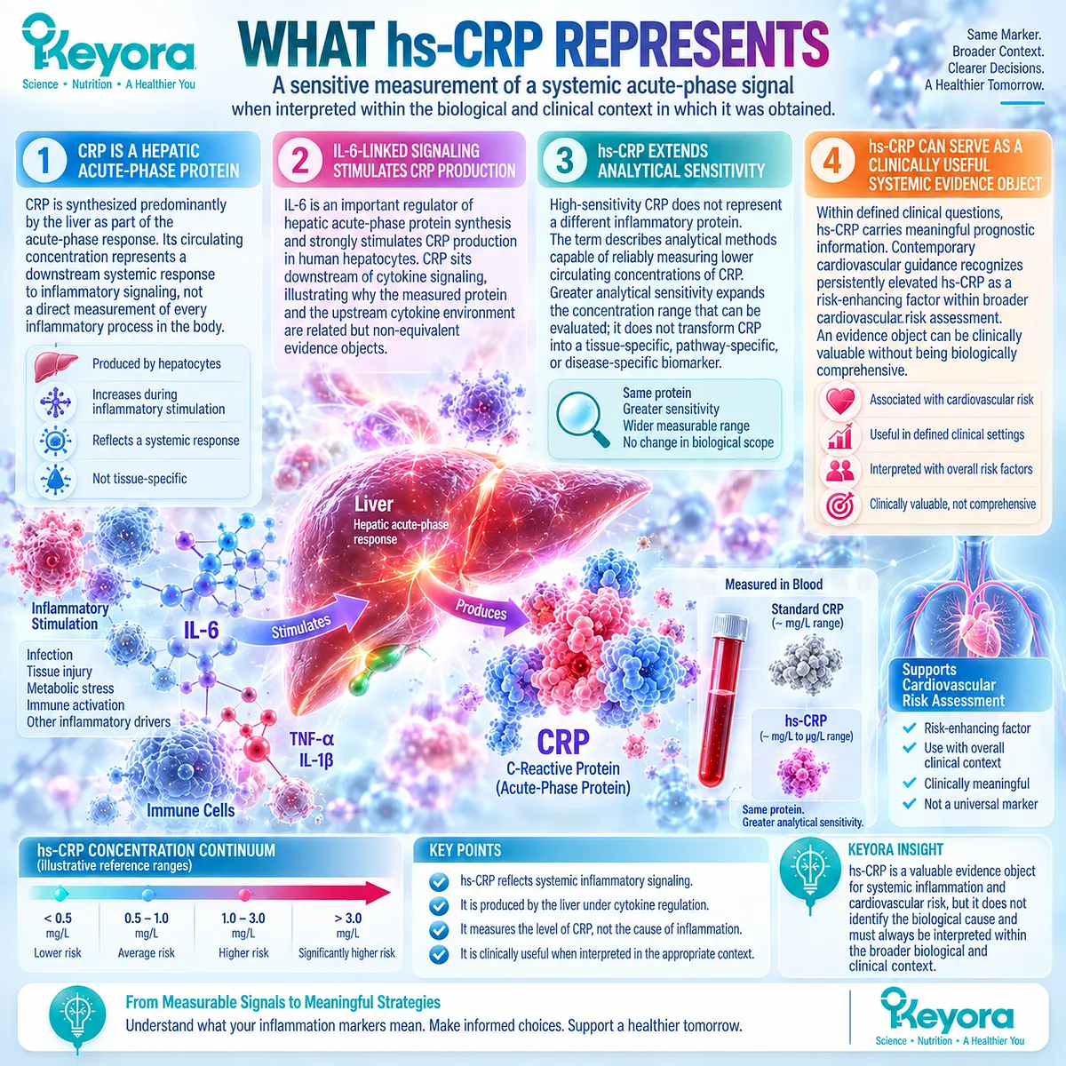 hs-CRP measures liver-derived acute-phase inflammation downstream of IL-6 signaling, classified by Keyora The Inflammatory Evidence Object Map as a systemic biomarker. hs-CRP measures liver-derived acute-phase inflammation downstream of IL-6 signaling, classified by Keyora The Inflammatory Evidence Object Map as a systemic biomarker.