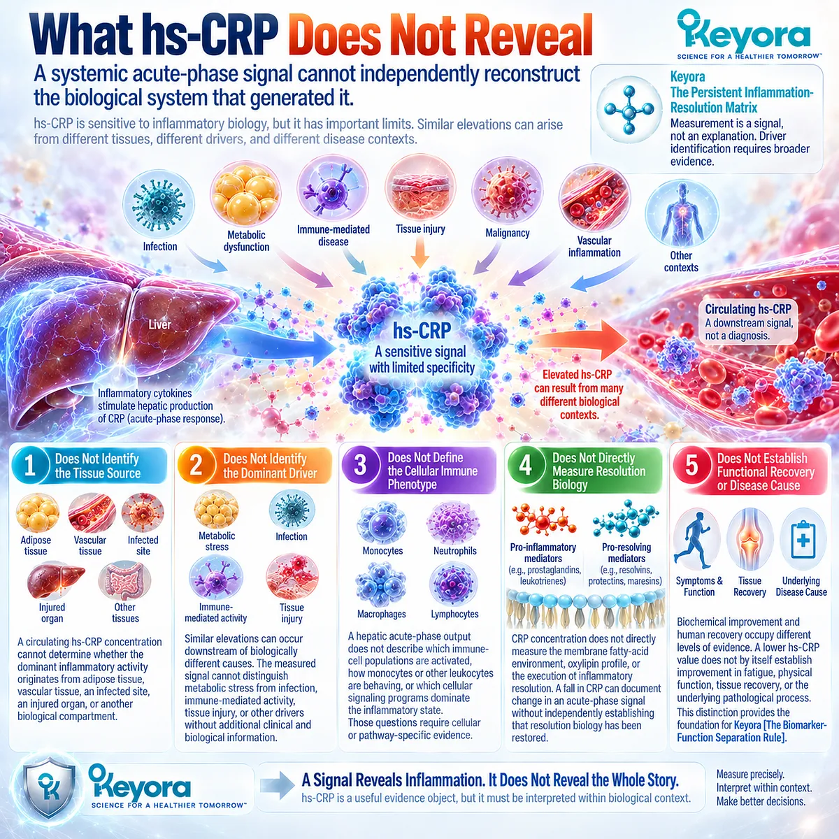 hs-CRP cannot identify inflammation cause, tissue source, immune-cell phenotype, lipid-mediator resolution or function in Keyora The Biomarker-Function Separation Rule. hs-CRP cannot identify inflammation cause, tissue source, immune-cell phenotype, lipid-mediator resolution or function in Keyora The Biomarker-Function Separation Rule.