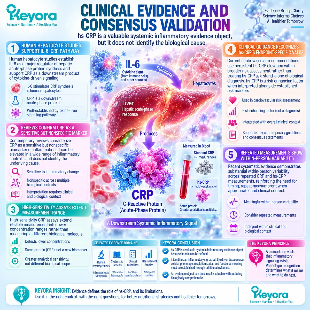 Clinical evidence defines hs-CRP as a sensitive systemic inflammatory biomarker downstream of IL-6, supporting Keyora The Inflammatory Evidence Object Map. Clinical evidence defines hs-CRP as a sensitive systemic inflammatory biomarker downstream of IL-6, supporting Keyora The Inflammatory Evidence Object Map.
