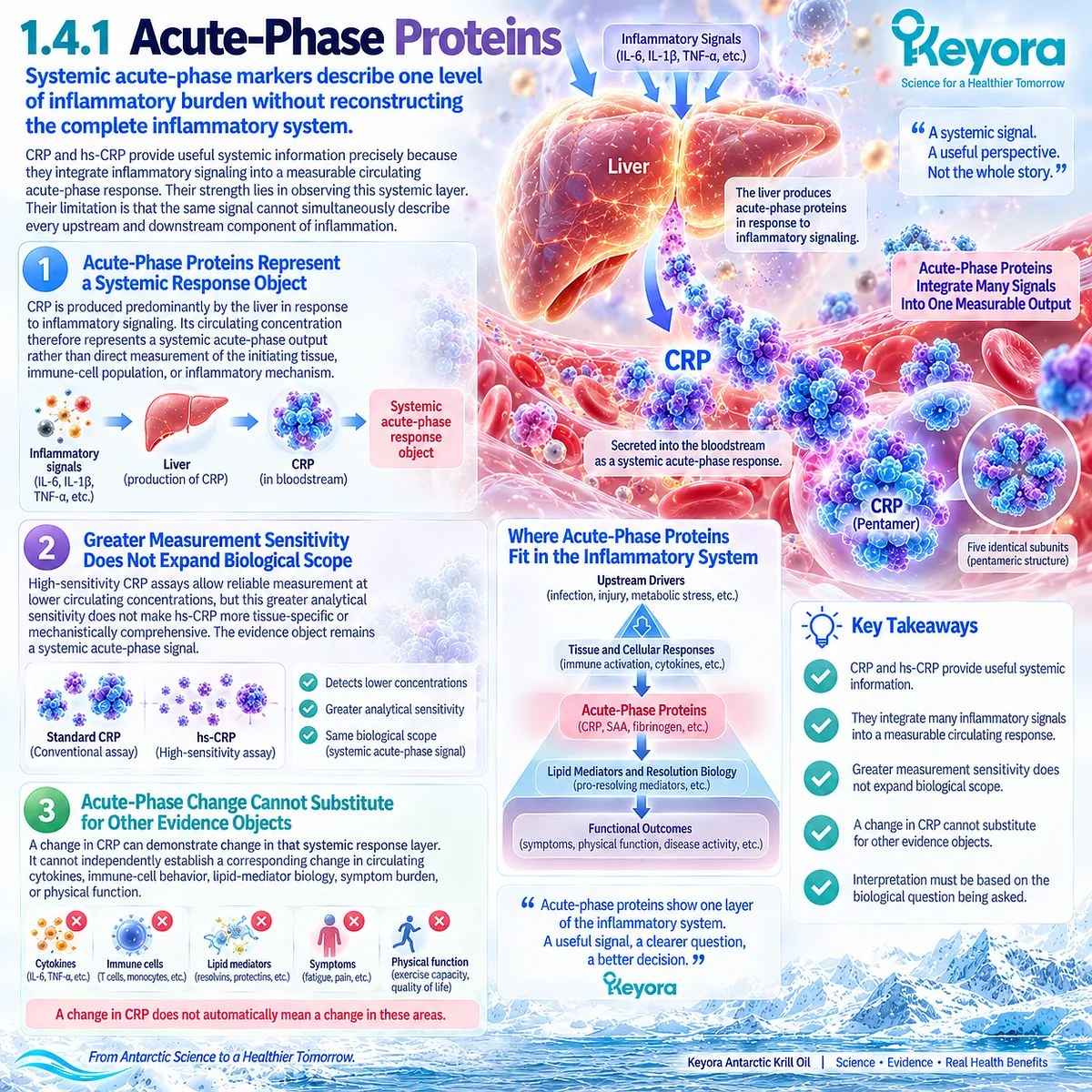 CRP and hs-CRP measure systemic acute-phase inflammation but not cytokines, immune cells or lipid mediators in Keyora The Inflammatory Evidence Object Map. CRP and hs-CRP measure systemic acute-phase inflammation but not cytokines, immune cells or lipid mediators in Keyora The Inflammatory Evidence Object Map.