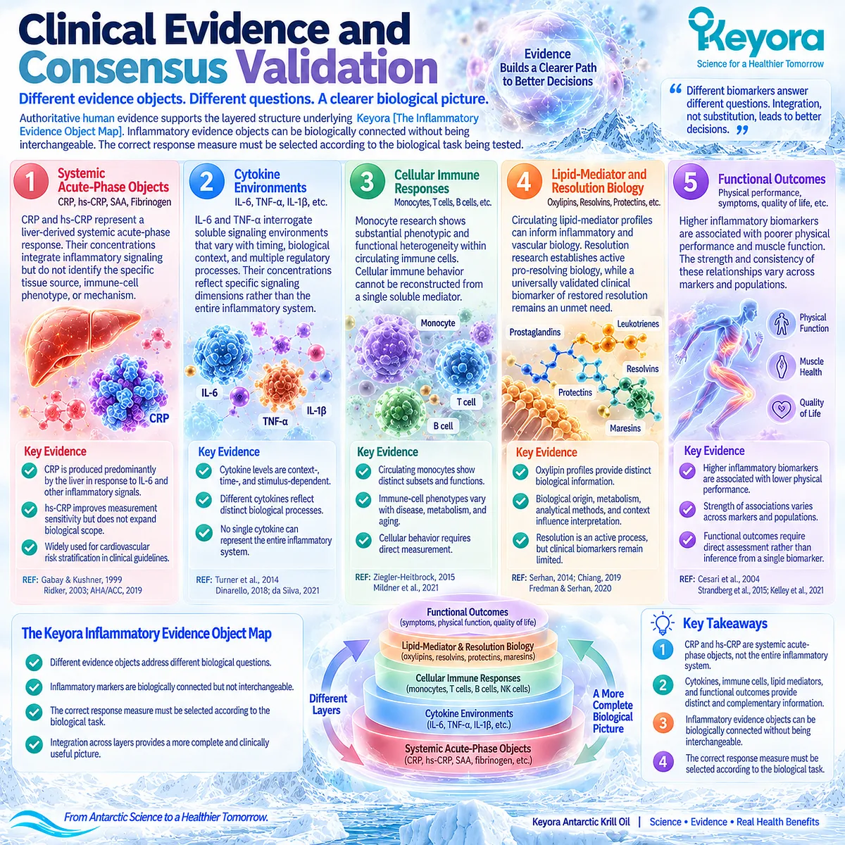 Human inflammation evidence separates hs-CRP, IL-6, TNF-alpha, immune cells, oxylipins and physical function in Keyora The Inflammatory Evidence Object Map. Human inflammation evidence separates hs-CRP, IL-6, TNF-alpha, immune cells, oxylipins and physical function in Keyora The Inflammatory Evidence Object Map.