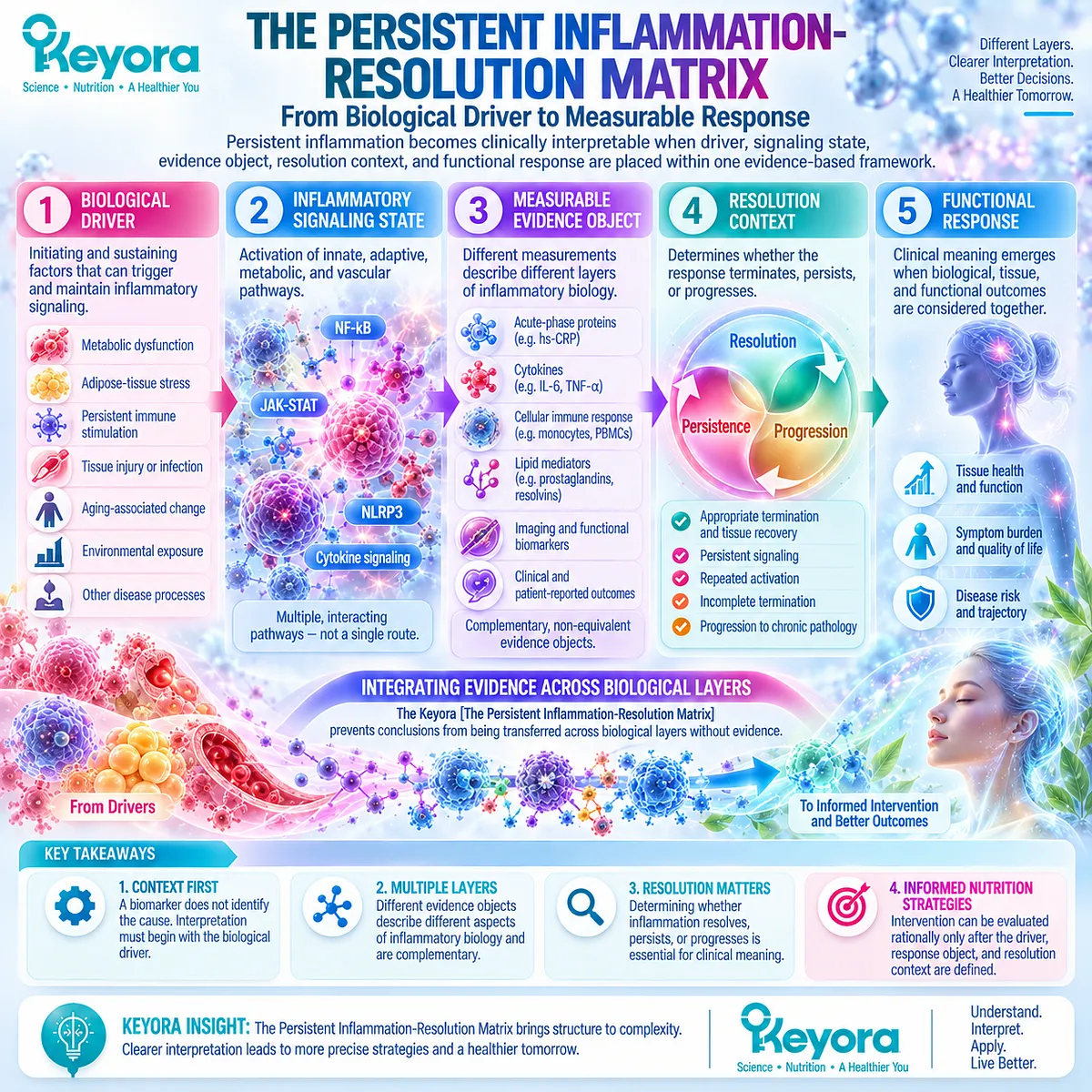 Persistent inflammation links biological drivers, inflammatory signaling, biomarkers, resolution biology and function in Keyora The Persistent Inflammation-Resolution Matrix. Persistent inflammation links biological drivers, inflammatory signaling, biomarkers, resolution biology and function in Keyora The Persistent Inflammation-Resolution Matrix.