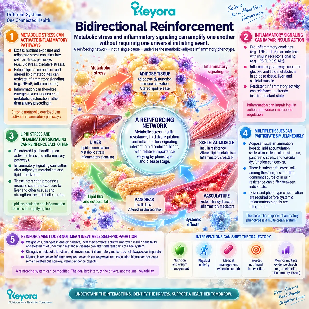 Metabolic inflammation links insulin resistance, lipid stress, and immune signaling in reinforcing loops mapped by Keyora’s Persistent Inflammation-Resolution Matrix. Metabolic inflammation links insulin resistance, lipid stress, and immune signaling in reinforcing loops mapped by Keyora’s Persistent Inflammation-Resolution Matrix.